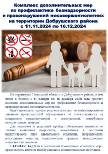 Комплекс дополнительных мер по профилактике безнадзорности и правонарушений несовершеннолетних